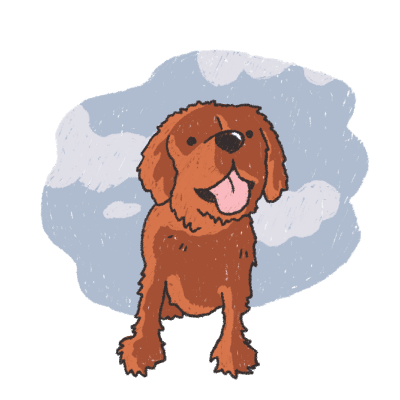 Happy dogs playing at daycare