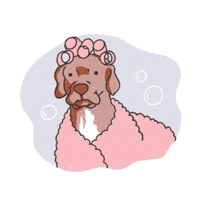 Professional dog grooming services